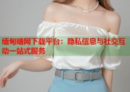 缅甸暗网下载平台：隐私信息与社交互动一站式服务