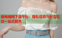 缅甸暗网下载平台：隐私信息与社交互动一站式服务