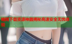 暗网下载资源神器揭秘高速安全无忧体验