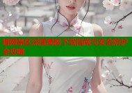 暗网禁区深度揭秘下载指南与安全防护全攻略