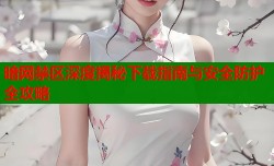 暗网禁区深度揭秘下载指南与安全防护全攻略