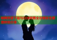 暗网资源下载与在线观看全攻略安全便捷体验分享