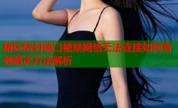暗区防封端口被禁网络无法连接如何有效解决方法解析