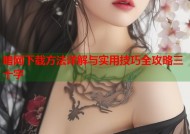 暗网下载方法详解与实用技巧全攻略三十字