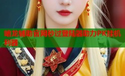 暗龙辅助官网秒过登陆器助力PK挂机利器
