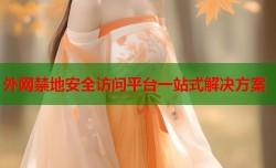 外网禁地安全访问平台一站式解决方案