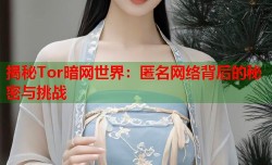 揭秘Tor暗网世界：匿名网络背后的秘密与挑战