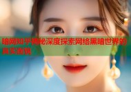 暗网知乎揭秘深度探索网络黑暗世界的真实面貌