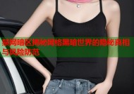 禁网暗区揭秘网络黑暗世界的隐秘真相与风险防范
