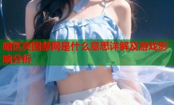 暗区突围禁网是什么意思详解及游戏影响分析