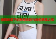 暗网迷雾下的秘密追踪与真相揭露之旅