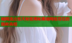 暗网流出惊天秘密揭秘黑暗网络背后的隐秘真相