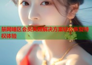 禁网暗区会员失效解决方案轻松恢复特权体验