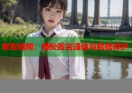 解密暗网：揭秘匿名通信与数据保护