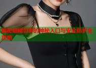 揭秘暗网世界的神秘入口与安全防护全攻略