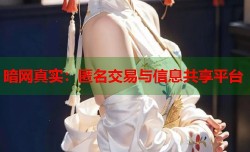 暗网真实：匿名交易与信息共享平台