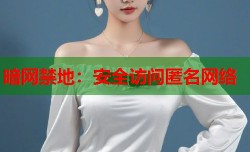 暗网禁地：安全访问匿名网络