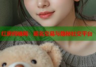 红房间暗网：匿名交易与隐秘社交平台