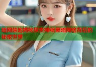 暗网禁地揭秘探索神秘黑暗网络背后的秘密世界