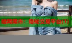 暗网黑市：隐秘交易平台(1)