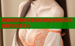 暗网社区揭秘探索隐秘网络世界的真实面貌与交流平台