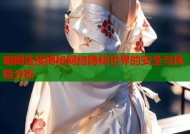 暗网连接揭秘网络隐秘世界的安全与风险分析