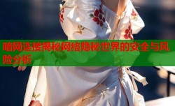 暗网连接揭秘网络隐秘世界的安全与风险分析