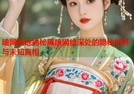 暗网禁地揭秘黑暗网络深处的隐秘世界与未知真相