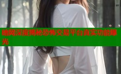 暗网深度揭秘恐怖交易平台真实功能曝光