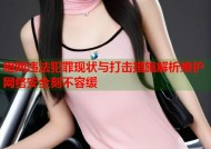 暗网违法犯罪现状与打击措施解析维护网络安全刻不容缓