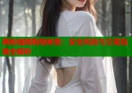 揭秘暗网购物秘密：安全风险与交易指南全解析