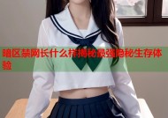 暗区禁网长什么样揭秘最强隐秘生存体验