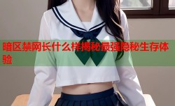 暗区禁网长什么样揭秘最强隐秘生存体验