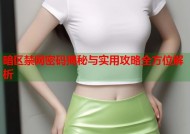暗区禁网密码揭秘与实用攻略全方位解析