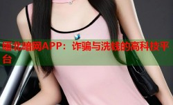 缅北暗网APP：诈骗与洗钱的高科技平台