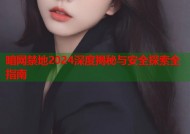 暗网禁地2024深度揭秘与安全探索全指南