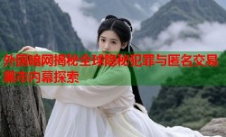 外国暗网揭秘全球隐秘犯罪与匿名交易黑市内幕探索