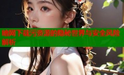 暗网下载污资源的隐秘世界与安全风险解析