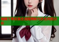 暗网下单安装全流程揭秘与安全风险分析
