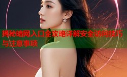 揭秘暗网入口全攻略详解安全访问技巧与注意事项