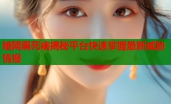 暗网黑死病揭秘平台快速掌握最新威胁情报