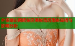 外资暗访网吧禁区揭秘背后隐秘真相与影响分析