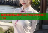 暗网视频网站揭秘与安全访问全攻略三十字