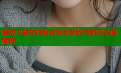 暗网下载文件是否安全风险与防范全面解析