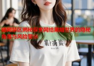 暗网禁区揭秘探索网络黑暗世界的隐秘角落与风险警示