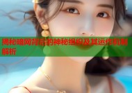 揭秘暗网背后的神秘组织及其运作机制解析