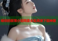 暗帝的禁宠小说网盘全集高速下载神器