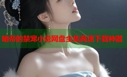 暗帝的禁宠小说网盘全集高速下载神器