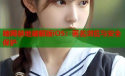 暗网禁地破解版iOS：匿名浏览与安全保护