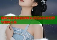 暗网深度揭秘视频曝光背后的秘密世界与隐秘交易